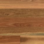 Spotted Gum 125mm