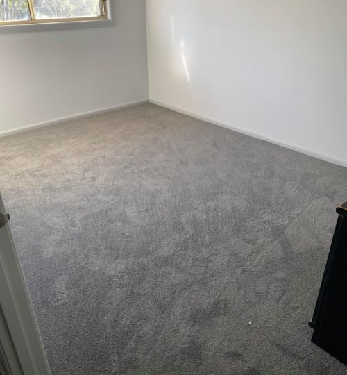 95015830_2996435017141950_3426492099493625856_n