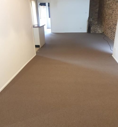 carpet connect-kings domain-installation-loungeroom